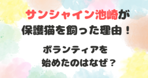 サンシャイン池崎が保護猫